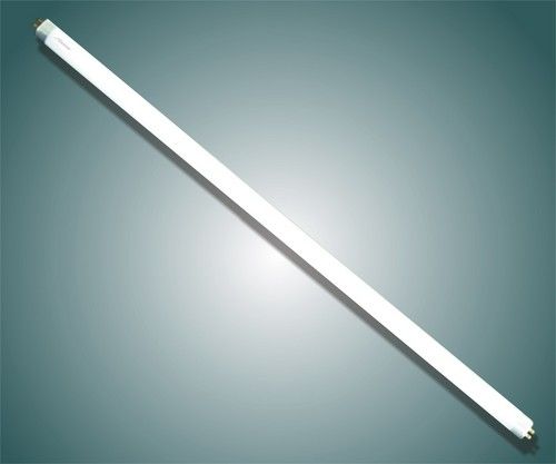 T5 Fluorescent Lamp