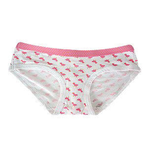 Ladies Briefs