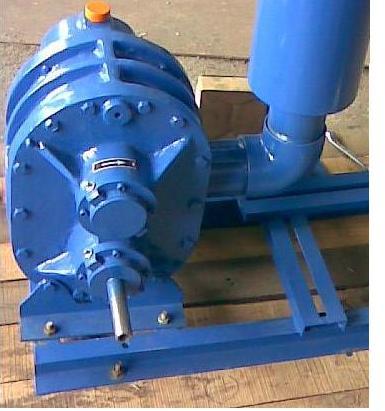 Roots Type Rotary Twin Lobe Air Blower