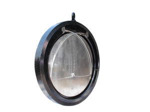 Steel Wafer Check Valves