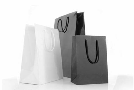 Laminated Paper Bags