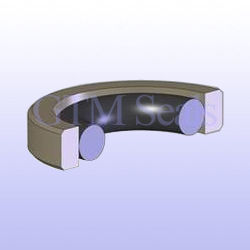 PTFE - Piston Seals