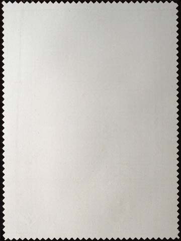 Silk Taffetas Fabric
