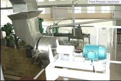 fruit pulp machine