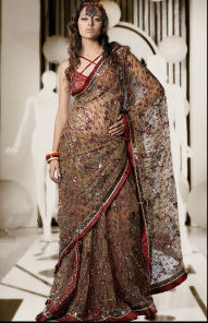 Beige Color Net Saree