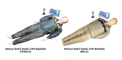 Whole Body Basic Cpr Mannequin Age Group: Adults