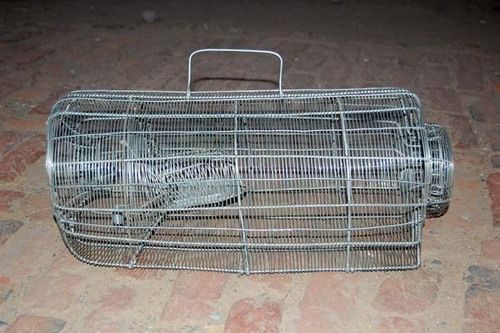 rat cage india