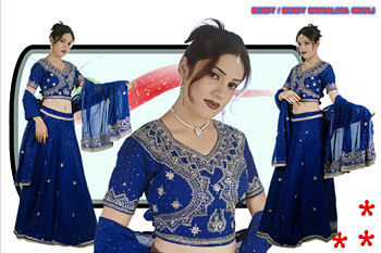 Gujarati Traditional Chania (Ghaghra) Choli