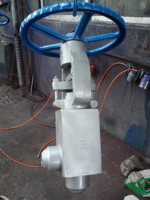 Silver-Blue Perfect Finishing Angle Globe Valve