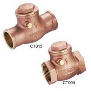 Swing Check Valve