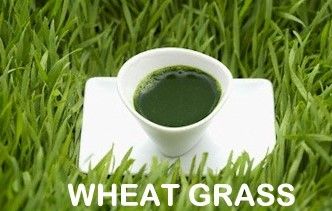 Wheat Grass Powder