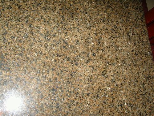 Tropic Brown Marble