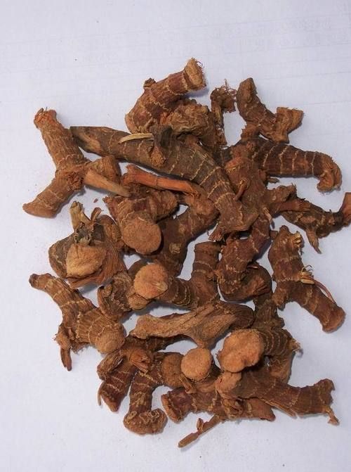 High Grade Pure Galangal