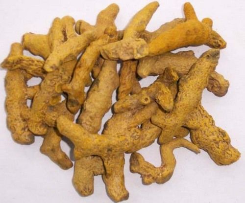 High Medicinal Value Turmeric Fingers