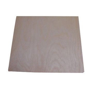 Termite Free Plywood Board Core Material: Harwood