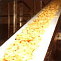 Food Grade Belt Conveyor