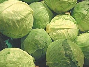 Fresh Cabbage