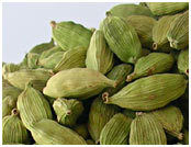 Cardamom