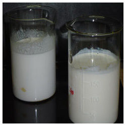 Paraffin Wax Emulsion