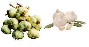 Gluten Free Fresh Garlic