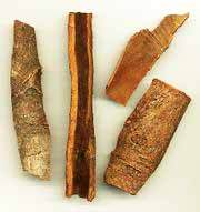 Natural Cinnamon Cassia Bark
