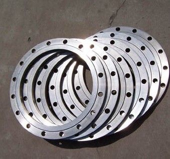 Silver Rust Free Forged Flange