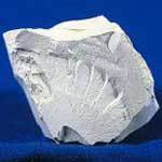 Mineral Refractories White Color Dolomite Stone