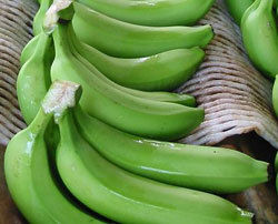 Common Fresh Green Cavendish Banana