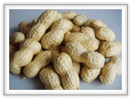 Brown Chinese Dried Peanuts With Shell