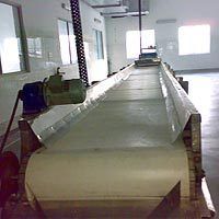 Heavy Duty Inspection Conveyor System