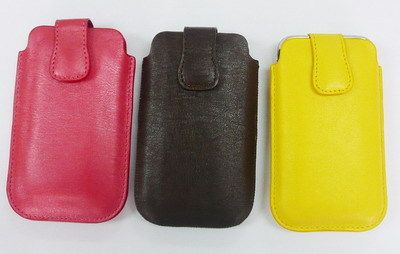 Multicolor Iphone 3G Leather Case