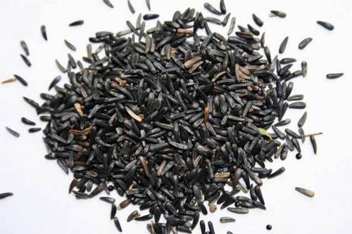 Niger Seeds