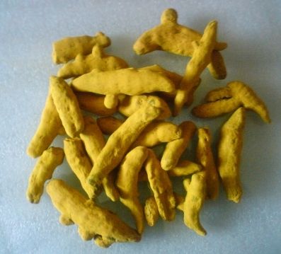 Organic Dried Turmeric Fingers