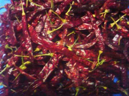 Pure Red Whole Dried Chillies