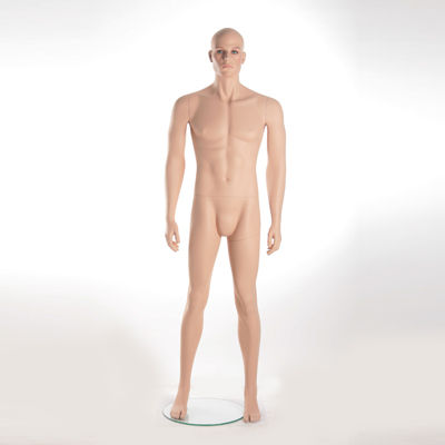 Full Body Man Mannequin Age Group: Adults