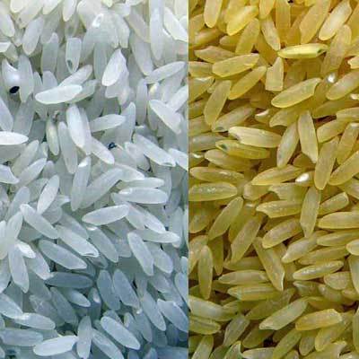 MUKTABIHANGA Rice