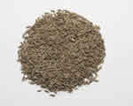 Organic Cumin