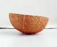 Coconut Shell