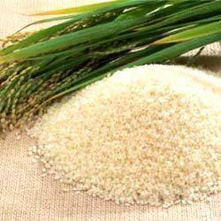 Medium Size Sharbati Rice