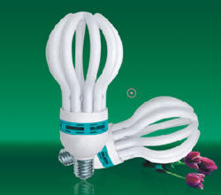 White Lotus Type Energy Saving Lamp