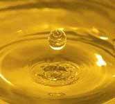 Mustard Oil