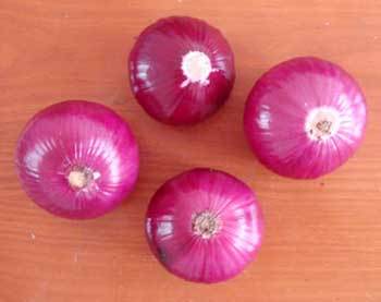Superior Grade Red Onion