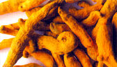 High Nutritional Value Turmeric Fingers