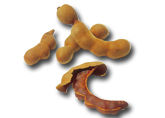 Tamarind - Natural Pulp and Juice Concentrate | Ideal for Beverages, Seafood, and Gourmet Cuisine