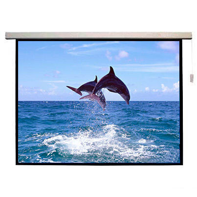 Easy To Operate Electric Projection Screen