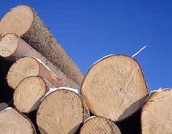 Imported Timber