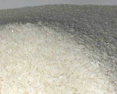 Solid Organic White Color Rice