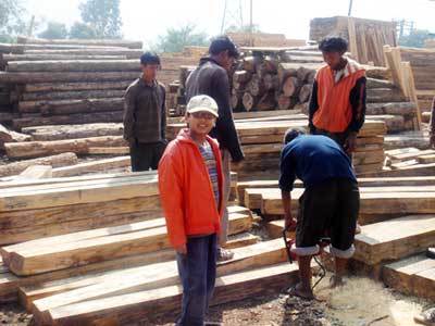 Eco Friendly Sawn Timber Grade: Premium