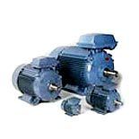 Industrial Electric Motor Drives