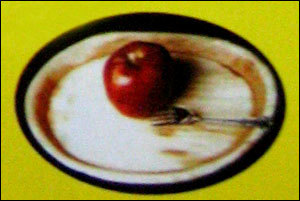 पर्यावरण के अनुकूल डिस्पोजेबल प्लेट्स